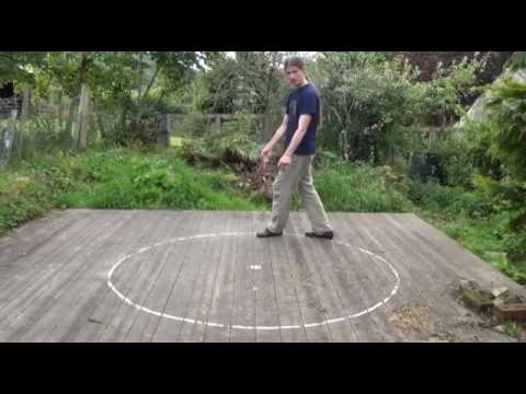 bagua circle walking techniques